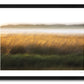 a framed fine art photographic print of a field of tall grass as a field of gold in the setting sun along the shore of Loughros Beg Bay in Donegal