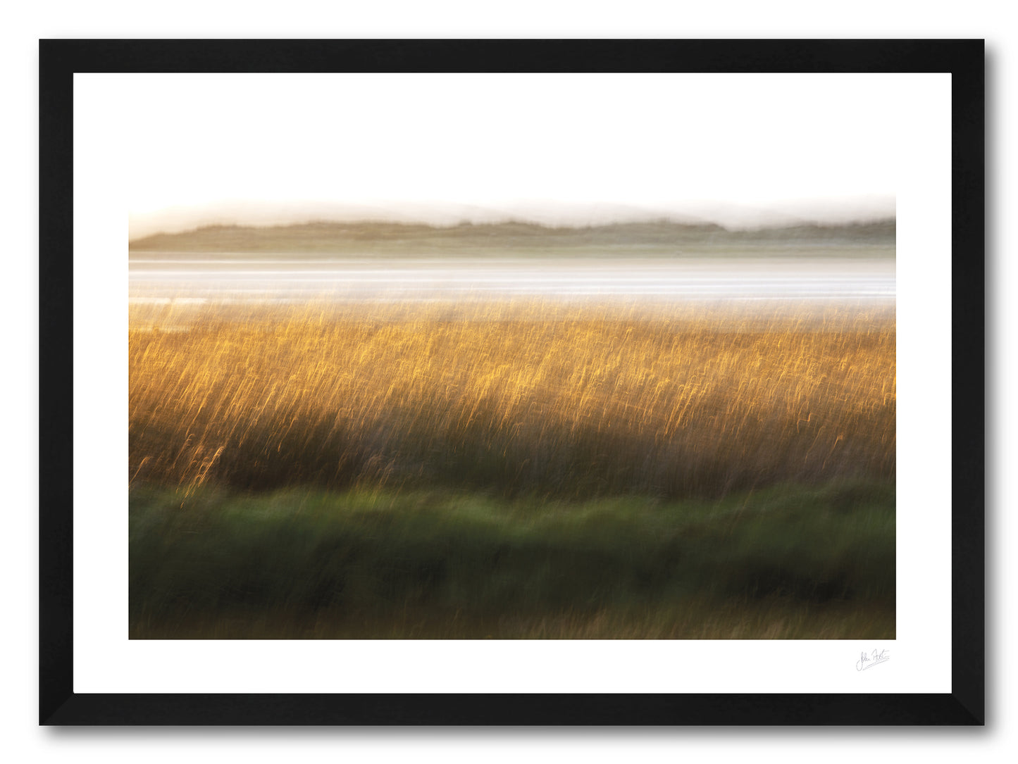 a framed fine art photographic print of a field of tall grass as a field of gold in the setting sun along the shore of Loughros Beg Bay in Donegal