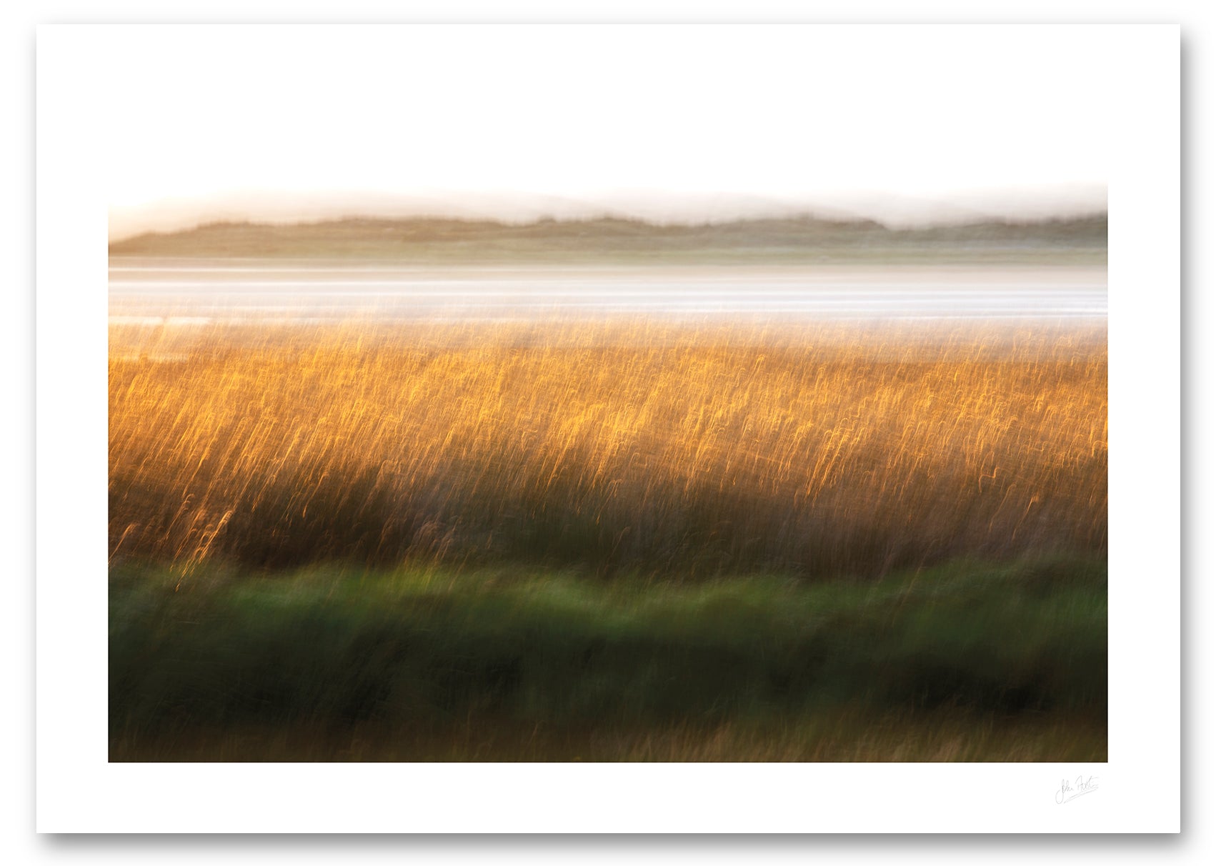 a fine art photographic print of a field of tall grass as a field of gold in the setting sun along the shore of Loughros Beg Bay in Donegal