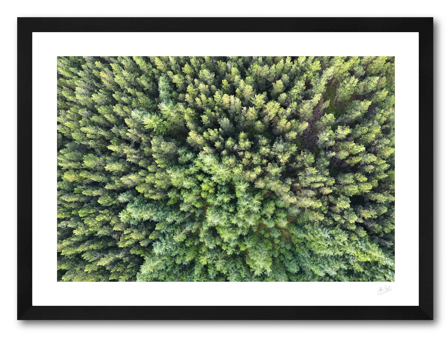 a framed fine art photographic print of an aerial view of a forest in Glashydevet Co. Donegal