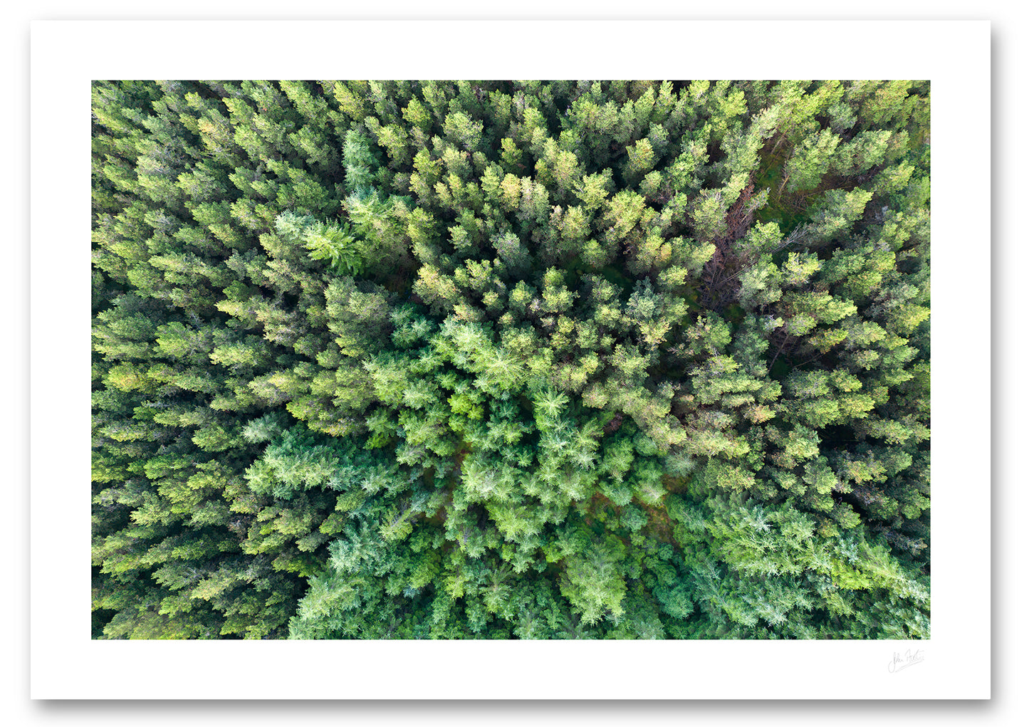 a fine art photographic print of an aerial view of a forest in Glashydevet Co. Donegal