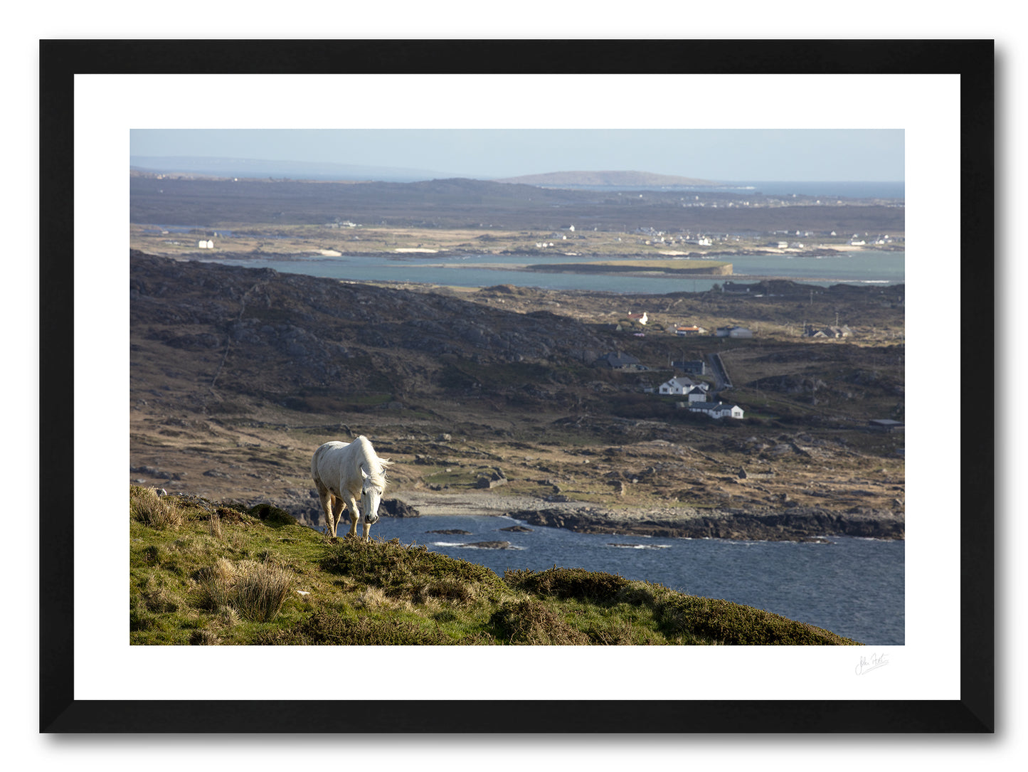 a framed fine art photographic print of a connemara pony overlooking the connemara coastline availably to buy online