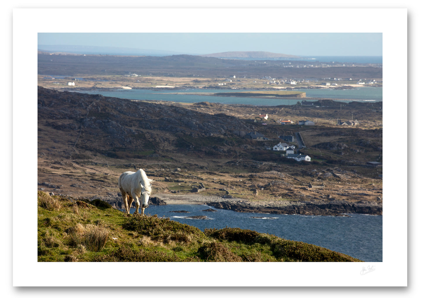 an unframed fine art photographic print of a connemara pony overlooking the connemara coastline available to buy online