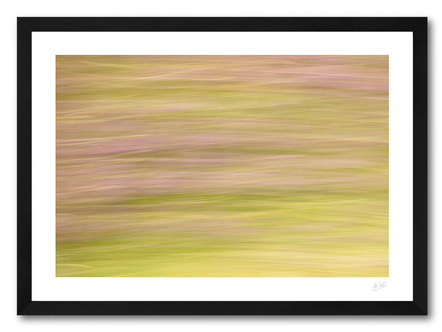 a framed fine art photographic print of a road side verge with blurred green grass and wild summer flowers